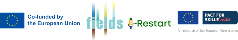 FIELDS and i-RESTART – co-funded by the European Union, members of the Pact for Skills